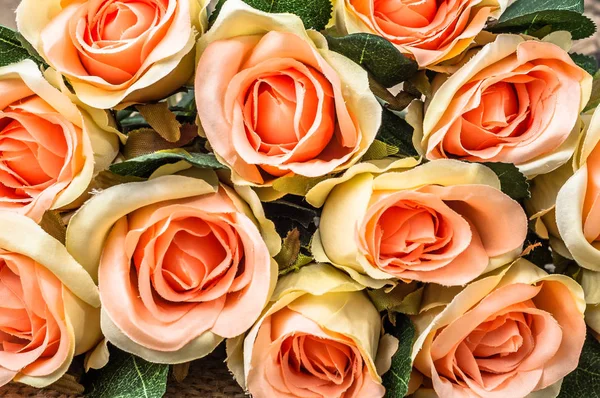 Sfondo di rose, texture, fiori carta da parati — Foto Stock