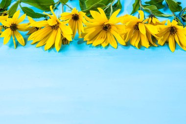 Sarı çerçeve çiçek, üstten görünüm çiçekler üzerinde mavi arka plan, kopya alanı