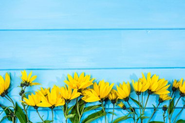 Sonbahar çiçek ahşap arka plan üzerinde. Sonbaharda hasat Sarı çiçekli, yenilebilir topinambur şifalı bitki.