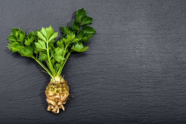 Üstten Görünüm kereviz yaprakları ile yerel pazar sebze tarım taze üretmek, boş alanı