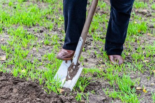 Bauer beim Graben im Garten. Frühjahrsgartenarbeit. Boden für die Bepflanzung vorbereiten. — Stockfoto