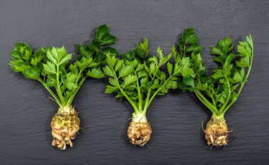 Kök kereviz yaprakları siyah arka plan, yerel Pazar, çiftlik taze ürün, organik gıda vejetaryen diyet sebze ile