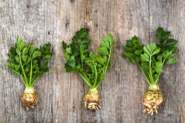 Kök kereviz yaprakları ahşap arka plan, yerel Pazar, çiftlik üretmek, üstten görünüm sebze ile