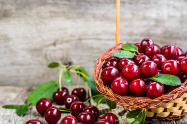 Taze kiraz sepet meyve bahçesi üretmek, çiftçi piyasasında olgunlaşmış meyve