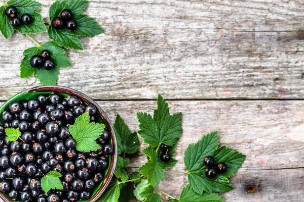 Ahşap masa üzerinde bir kapta taze blackcurrants. Yaz aylarında hasat meyve. — Stok fotoğraf