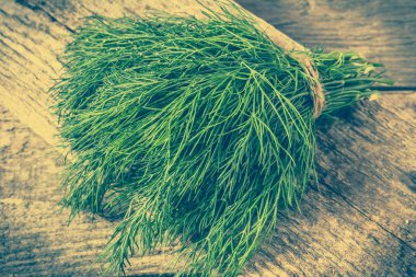 Demet dereotu. Taze otlar pişirme, vegan diyet sağlıklı baharat için kullanılan.