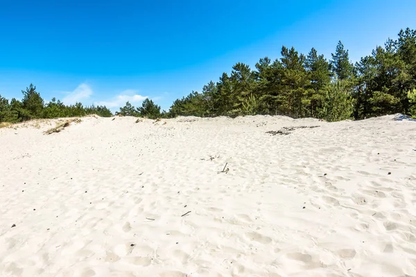 Hermosas dunas de mar, arena blanca y bosque de pinos en el verano, paisaje —  Fotos de Stock