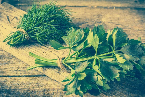 Укроп и сельдерей уходят. Свежие травы, используемые для приготовления пищи, приправы ингредиенты, здоровые специи в кухне . — стоковое фото