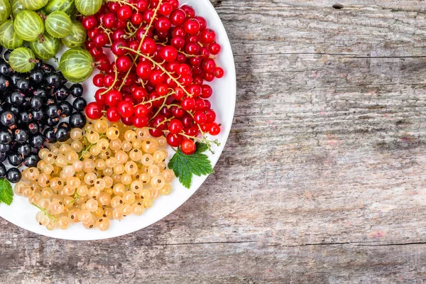Καλοκαιρινά φρούτα ποικιλίες: κόκκινα φραγκοστάφυλα, λευκό φραγκοστάφυλα και μαύρα φραγκοστάφυλα στο πιάτο, κάτοψη — Φωτογραφία Αρχείου