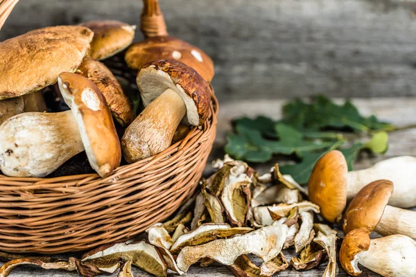 Chanterelles and Porcini Mushrooms in the Dehydrator Stock Photo