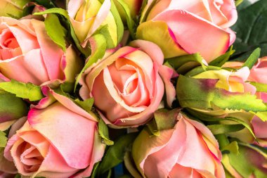 Sevgililer günü kartı için pembe Gül dokusu