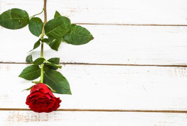 Ahşap arka plan üzerinde kırmızı gül, Sevgililer günü kartı