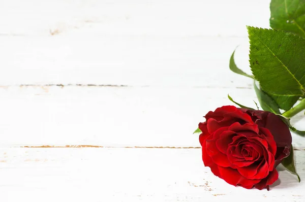 Rosa rossa, biglietto di San Valentino su sfondo di legno — Foto Stock