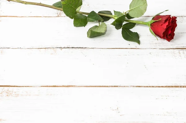 Rosa rossa, biglietto di San Valentino su sfondo di legno — Foto Stock