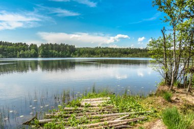 Ormandaki göl güneşli yaz peyzaj
