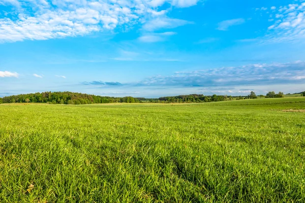 Primavera pradera y cielo azul sobre campo de hierba, paisaje rural —  Fotos de Stock