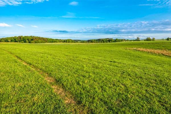 Paisaje de campo con hierba verde y cielo —  Fotos de Stock