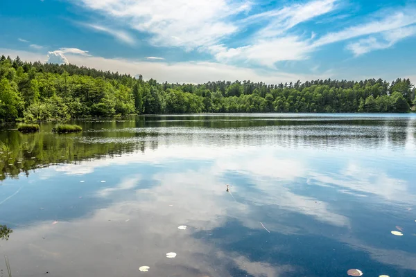 Sunny paesaggio estivo del lago nella foresta — Foto Stock
