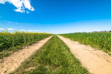 Toprak yol alan, peyzaj, mavi gökyüzü