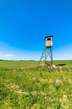Taze yeşil alan minber ve mavi gökyüzü ufukta avcılık yaz peyzaj