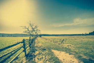 Çim alan manzara, kırsal manzara