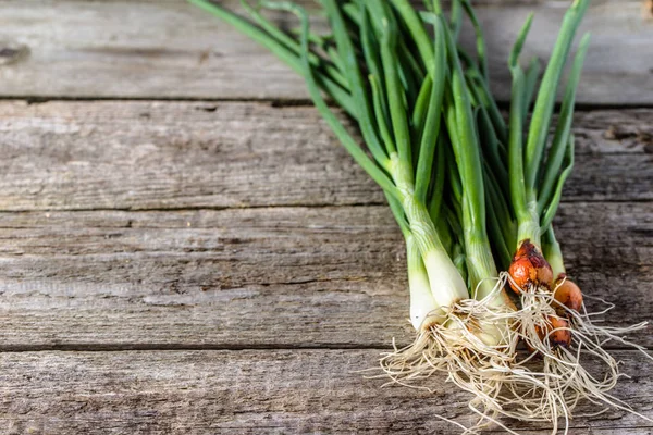 Bunch of green onion, organic vegetables, fresh produce from local farming on wooden rustic table