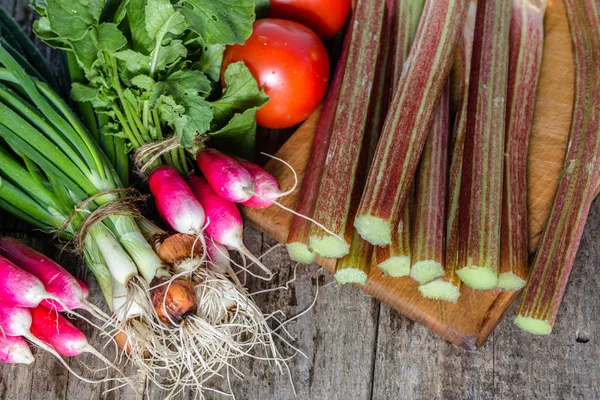 Manojos de verduras frescas, productos de jardín, concepto de comida vegetariana saludable — Foto de Stock