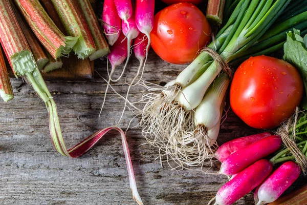 Manojos de verduras frescas, productos de jardín, concepto de comida vegetariana saludable — Foto de Stock