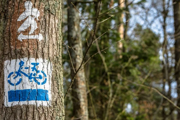 Bike path in the the forest, nordic walking and bike sign on tree