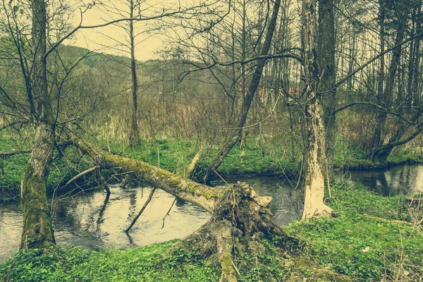 Foto de árbol caído sobre el río, foto vintage —  Fotos de Stock