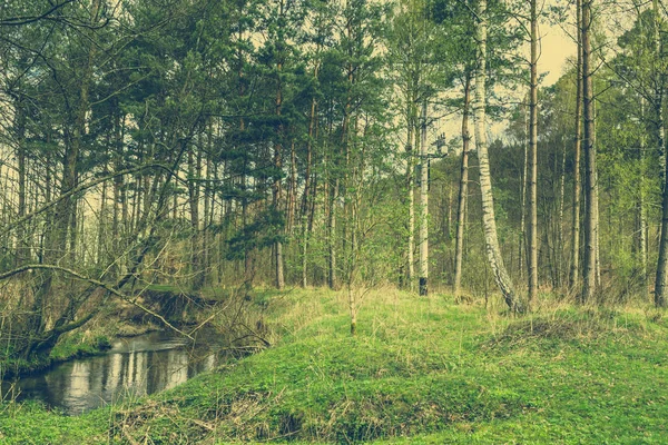 Vintage-Foto von Wald und Fluss, Landschaft — Stockfoto