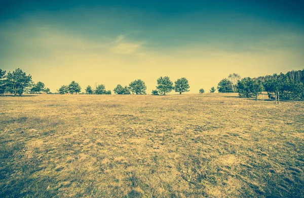 Campo granja paisaje, campo rural, pasto con hierba seca cerca del bosque en primavera, foto vintage — Foto de Stock