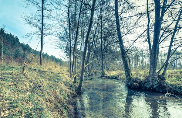Paisaje de primavera temprana con río en el bosque, árboles sin hojas, pintoresca escena de la naturaleza, proceso cruzado foto vintage —  Fotos de Stock