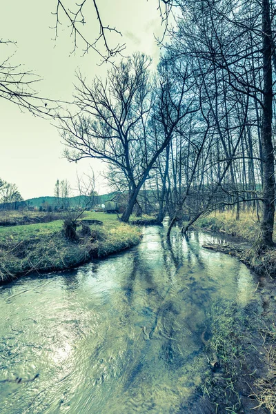 Paisagem de primavera adiantada com rio na floresta, árvores sem folhas, cena pitoresca da natureza, foto do vintage do processo transversal — Fotografia de Stock