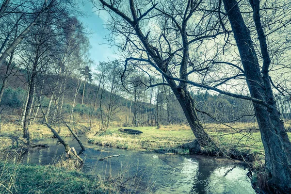 Río en el bosque, paisaje de primavera —  Fotos de Stock