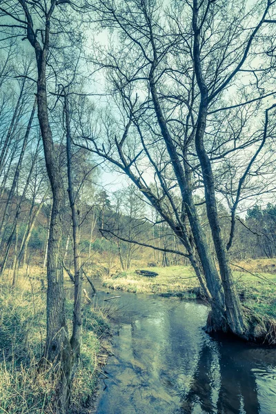 Río en el bosque, paisaje de primavera —  Fotos de Stock