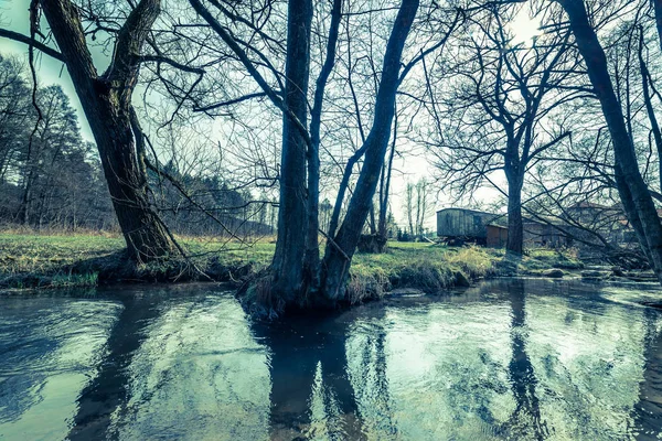 Río en el bosque, paisaje de primavera, foto vintage —  Fotos de Stock