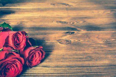 Kırmızı gül, arka plan için 8 Mart - kadınlar günü, anneler günü kartı