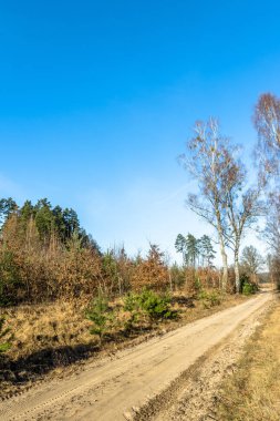 Kırsal manzara mavi gökyüzü altında erken ilkbaharda toprak yol peyzaj