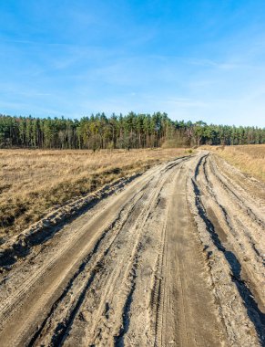 Bahar kırsal manzara tarım arazileri ve toprak yol ile.