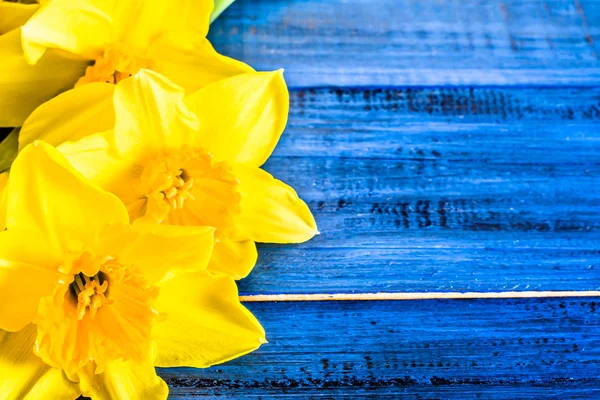 Makroblumen Hintergründe mit Narzissen auf Holztisch mit Kopierraum — Stockfoto