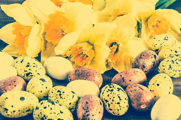 Belles jonquilles et oeufs de Pâques utiles comme carte de voeux — Photo