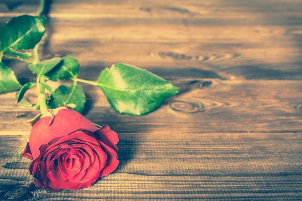 Kwiaty dzień kobiet, ramki karty z czerwoną różą na vintage drewniane tła — Zdjęcie stockowe