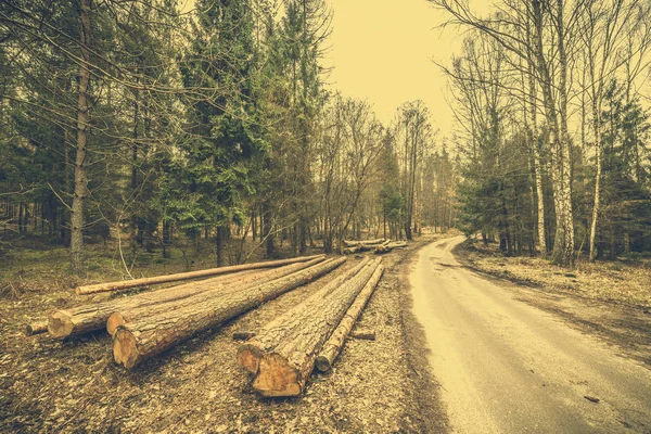 Стек з дерева в лісі біля дороги, пейзаж — стокове фото