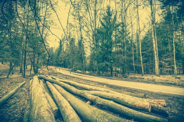 Cölöp-ból fa az erdő road, ország táj, vintage fotó. — Stock Fotó