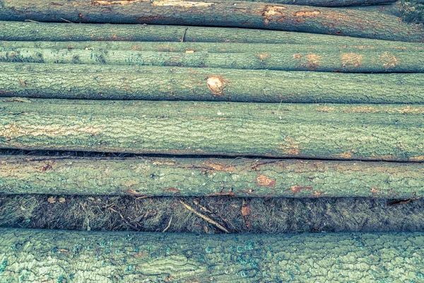 Stapel gestapeld hout achtergrond, conifer logs, ontbossing van bos — Stockfoto