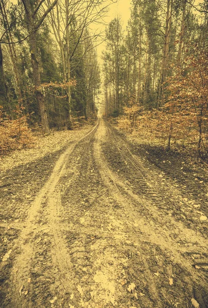 Autumn landscape, forest and road, vintage photo