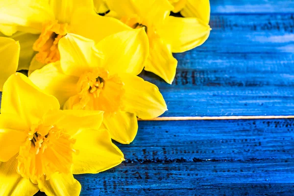 Macro floral background with daffodils on wooden table with copy space — Stock Photo, Image
