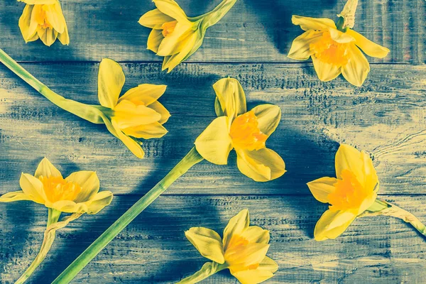 Jaune jonquilles sur table en bois, plat laïc vintage — Photo