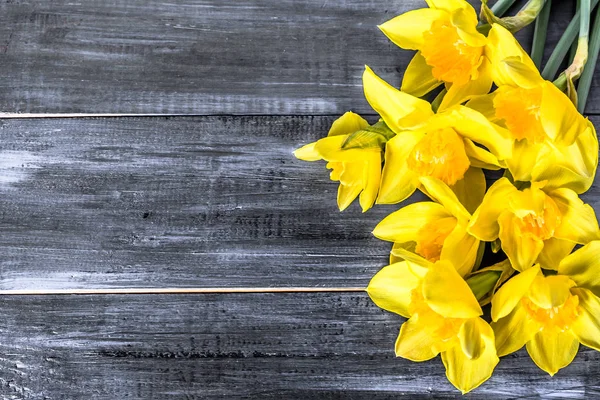 Ramo de narcisos amarillos seleccionado sobre fondo de madera — Foto de Stock